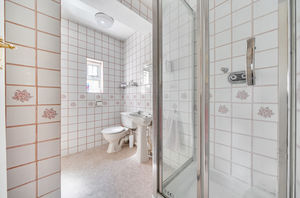 Ground floor shower room- click for photo gallery
